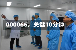 000066，关键10分钟-第1张图片