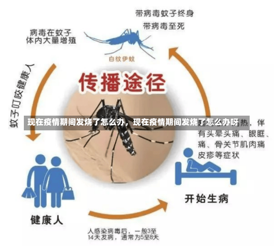 现在疫情期间发烧了怎么办，现在疫情期间发烧了怎么办呀-第2张图片