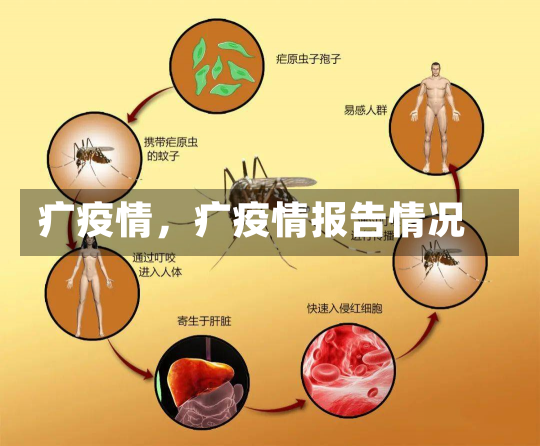 疒疫情，疒疫情报告情况-第3张图片