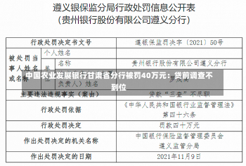 中国农业发展银行甘肃省分行被罚40万元：贷前调查不到位-第2张图片