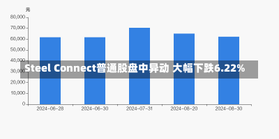 Steel Connect普通股盘中异动 大幅下跌6.22%-第2张图片