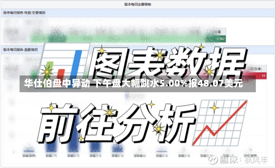 华仕伯盘中异动 下午盘大幅跳水5.00%报48.07美元-第1张图片