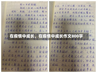 在疫情中成长，在疫情中成长作文800字-第2张图片