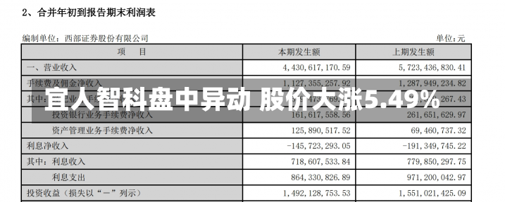 宜人智科盘中异动 股价大涨5.49%-第2张图片