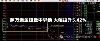 萨万通金控盘中异动 大幅拉升5.42%-第2张图片