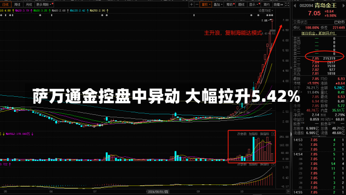 萨万通金控盘中异动 大幅拉升5.42%-第1张图片