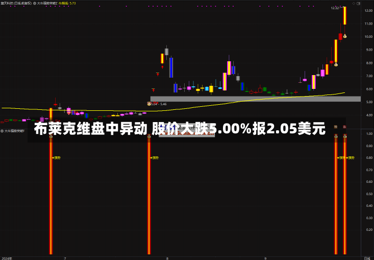 布莱克维盘中异动 股价大跌5.00%报2.05美元-第3张图片