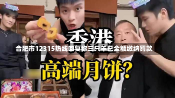 合肥市12315热线回复称三只羊已全额缴纳罚款-第2张图片