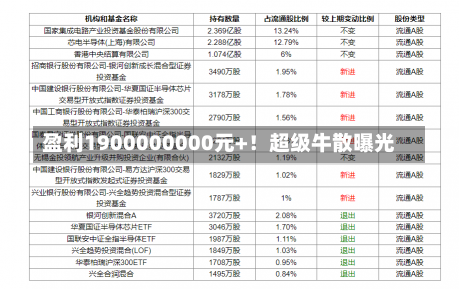 盈利1900000000元+！超级牛散曝光-第2张图片