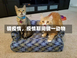 猜疫情，疫情期间猜一动物-第2张图片