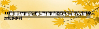 中国疫情通报，中国疫情通报12月5日第751期-第3张图片