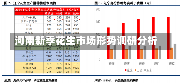 河南新季花生市场形势调研分析-第1张图片