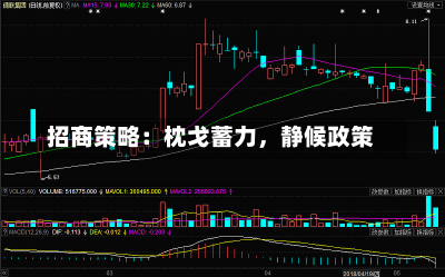 招商策略：枕戈蓄力，静候政策-第1张图片