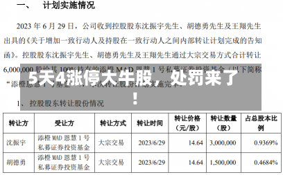 5天4涨停大牛股，处罚来了！-第2张图片