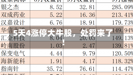 5天4涨停大牛股，处罚来了！-第1张图片