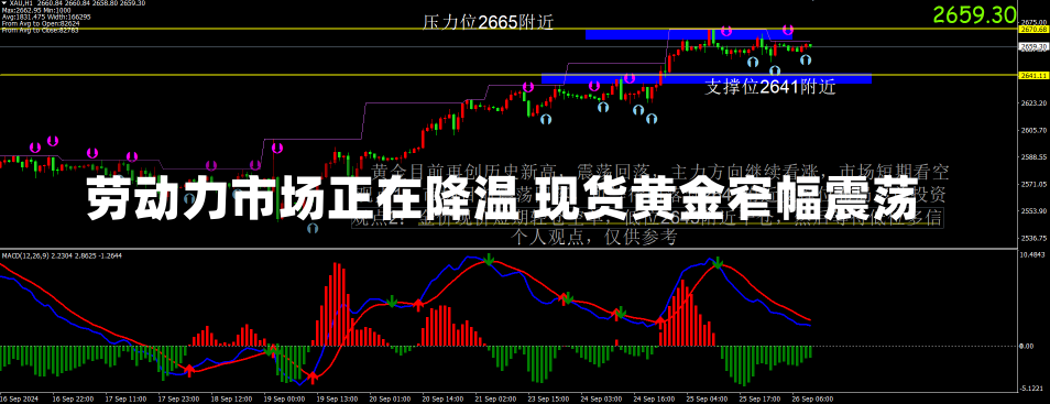 劳动力市场正在降温 现货黄金窄幅震荡-第1张图片