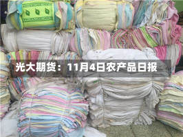 光大期货：11月4日农产品日报-第2张图片