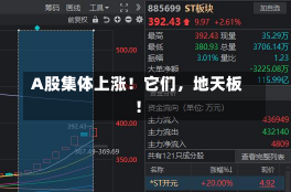 A股集体上涨！它们，地天板！-第2张图片