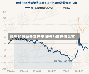 民生加银基金新任王国栋为首席信息官-第2张图片