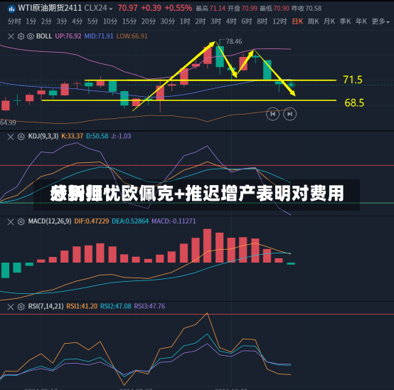 分析师：欧佩克+推迟增产表明对费用
感到担忧-第1张图片