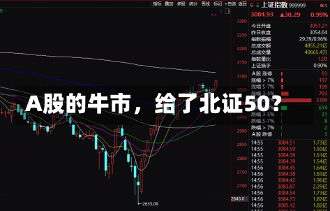 A股的牛市，给了北证50？-第2张图片