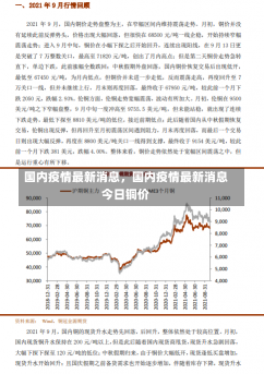 国内疫情最新消息，国内疫情最新消息今日铜价-第1张图片