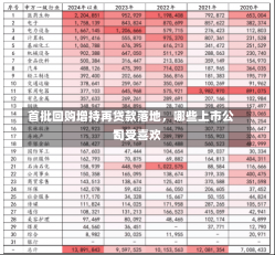 首批回购增持再贷款落地，哪些上市公司受喜欢
？-第1张图片