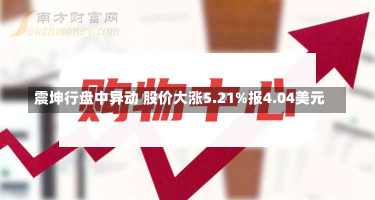 震坤行盘中异动 股价大涨5.21%报4.04美元-第2张图片