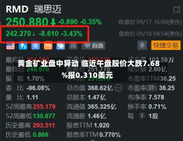 黄金矿业盘中异动 临近午盘股价大跌7.68%报0.310美元-第1张图片