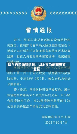 山东青岛最新疫情，山东青岛最新疫情通报-第2张图片