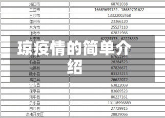 琼疫情的简单介绍-第2张图片