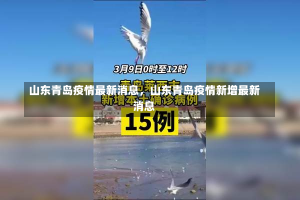 山东青岛疫情最新消息，山东青岛疫情新增最新消息-第1张图片