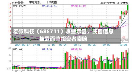 宏微科技（688711）收警示函，或因信息披露面临投资者索赔-第1张图片