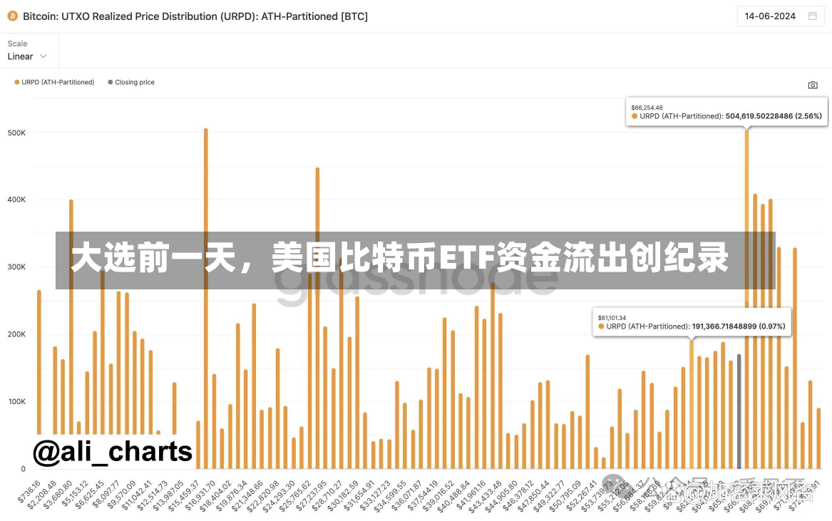 大选前一天，美国比特币ETF资金流出创纪录-第2张图片