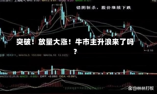 突破！放量大涨！牛市主升浪来了吗？-第2张图片