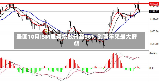 美国10月ISM服务指数升至56% 创两年来最大增幅-第2张图片