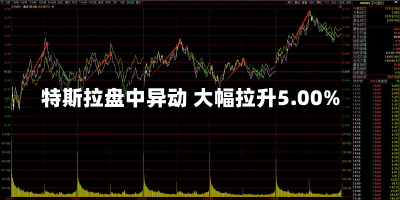 特斯拉盘中异动 大幅拉升5.00%-第2张图片