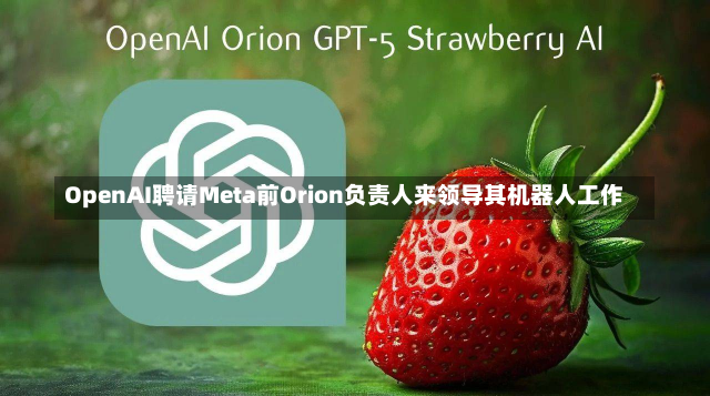 OpenAI聘请Meta前Orion负责人来领导其机器人工作-第3张图片