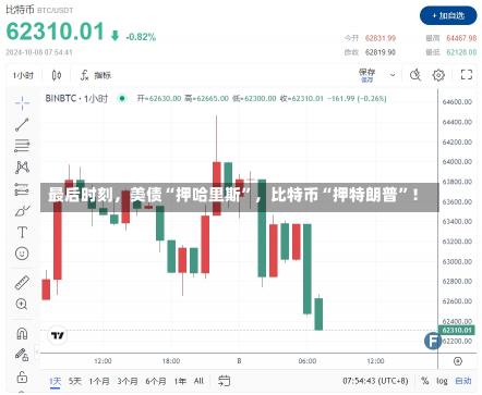最后时刻，美债“押哈里斯”，比特币“押特朗普”！-第1张图片