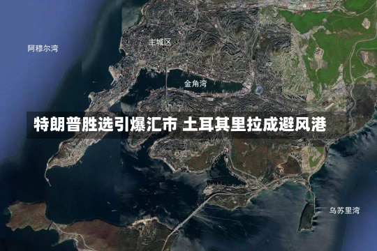 特朗普胜选引爆汇市 土耳其里拉成避风港-第2张图片