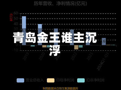 青岛金王谁主沉浮-第2张图片