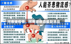 河南猪疫情，河南猪病毒最新消息-第3张图片