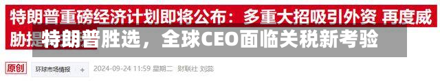 特朗普胜选，全球CEO面临关税新考验-第3张图片