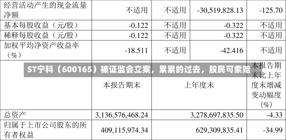 ST宁科（600165）被证监会立案，累累的过去，股民可索赔-第2张图片