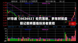 ST华通（002602）处罚落地，多年财报虚假记载将面临投资者索赔-第2张图片