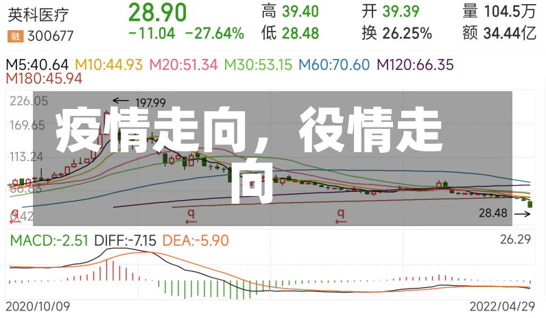 疫情走向，役情走向-第2张图片