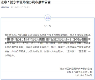 上海今日最新疫情，上海今日疫情数据公告-第1张图片