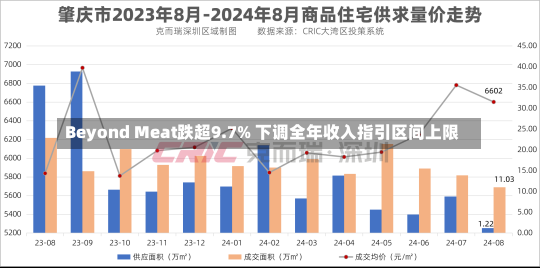 Beyond Meat跌超9.7% 下调全年收入指引区间上限-第3张图片