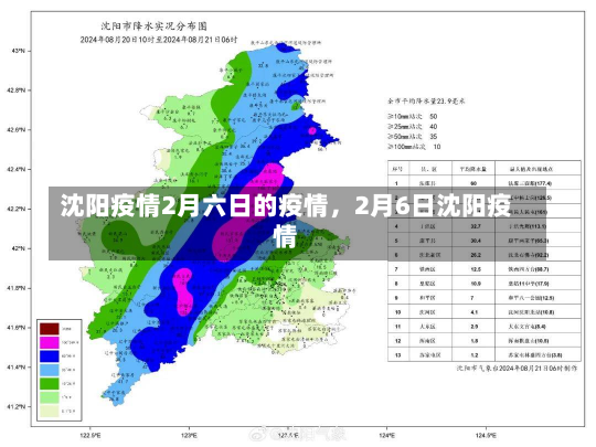 沈阳疫情2月六日的疫情，2月6日沈阳疫情-第1张图片