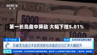 第一长岛盘中异动 大幅下挫5.01%-第1张图片